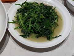 -杨氏青龙虾·羊蝎子(金盛路总店)