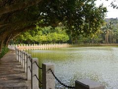 -西樵山风景名胜区-天湖公园