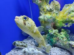 -乌鲁木齐海洋馆