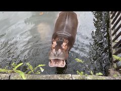 -海南热带野生动植物园