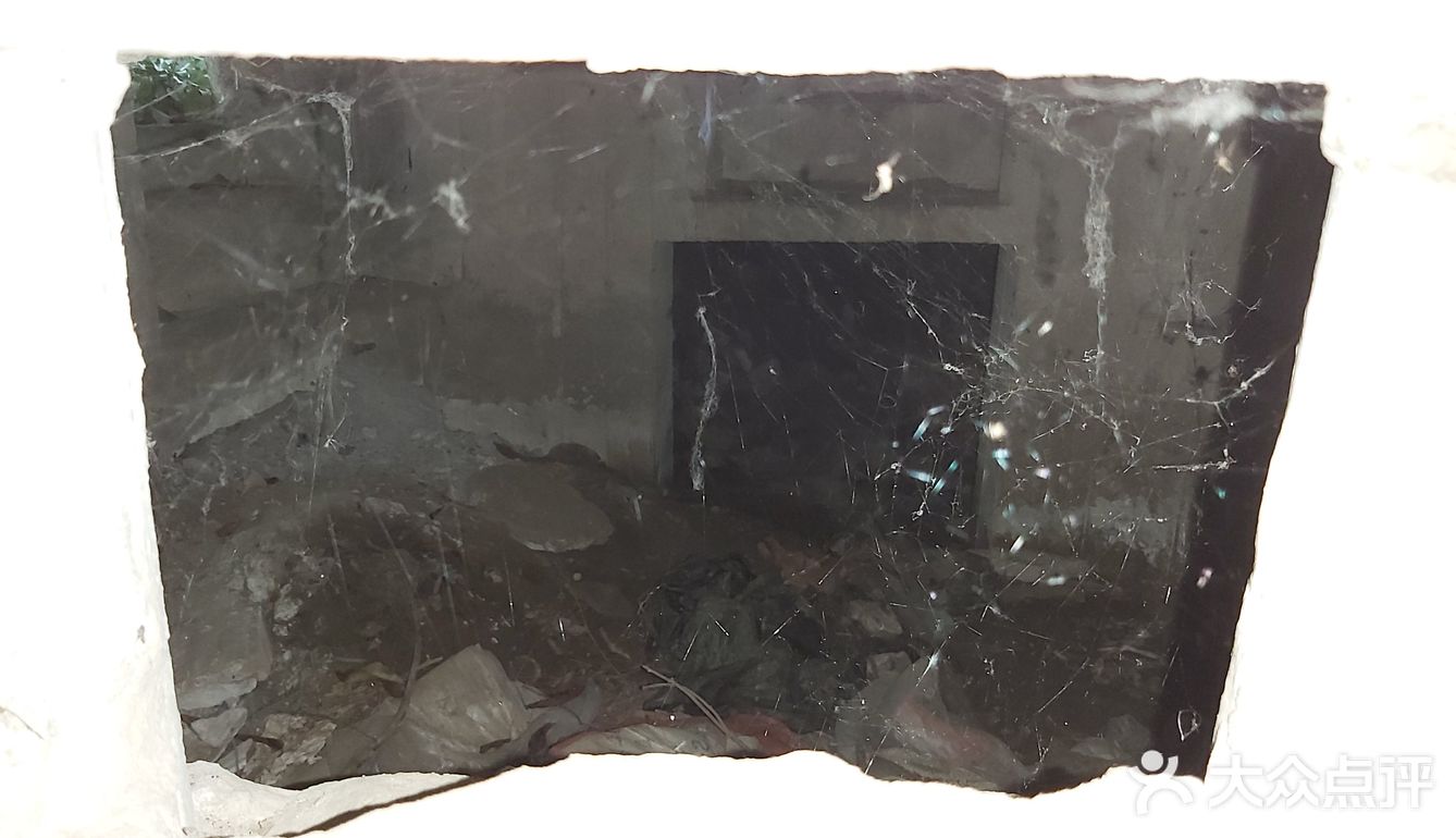 碉堡定为文物，闵行又添一例