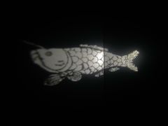 -白鹤梁水下博物馆