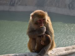 -白帝城·瞿塘峡景区