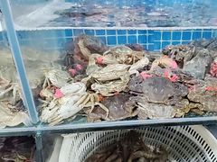 -宾朋海鲜特色美食餐厅·纯手工鲅鱼水饺(兴海路店)