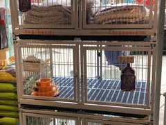 -我爱吾宠宠物美容院(朝阳路店)