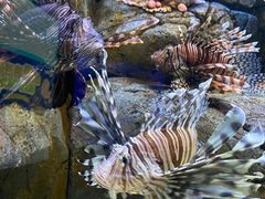 -成都浩海立方海洋公园