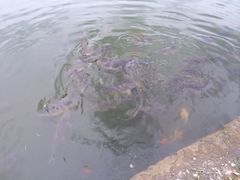iphone_upload_pic-仁和公园(顺义区)
