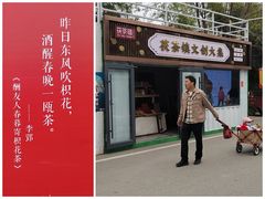 -茯茶镇