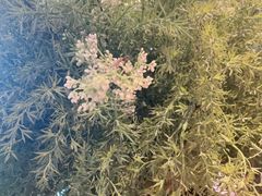 -徐记海鲜(大雁塔|金都店)