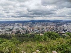 -长虫山生态公园风景林