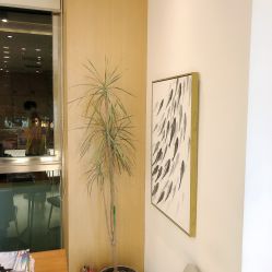 -THE LOG SALON 记录