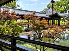 -江心屿景区