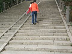 -上海佘山国家森林公园西佘山园