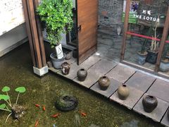 -几荷·恰似故人来(秀水广场店)