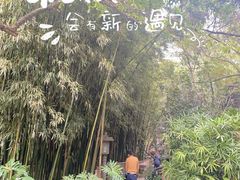 -广州兰圃