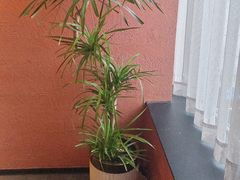 -许爷家·生态湖鲜(徐汇日月光店)