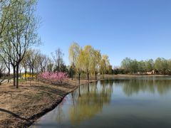 -东郊湿地公园