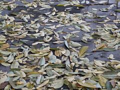 -香山公园-东宫门售票处