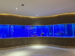 -碧涛阁水世界酒店(万家丽路店)
