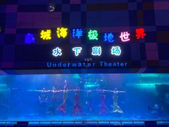 -泉城欧乐堡海洋极地世界