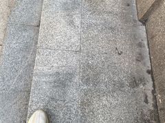 -梵SPA·影院足道·采耳(西藏北路店)