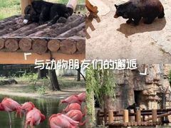 -石家庄市动物园