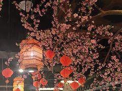 -卢大鲜鱼头捞饭(美利广场店)