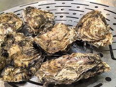 -飞尝蚝·顺德菜·鱼生(顺德总店)