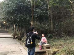 -普陀山风景名胜区-法雨禅寺