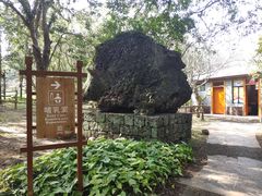 -海口火山口国家地质公园