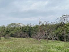 -良渚古城遗址公园
