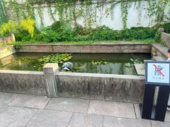 -王阳明故居