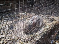 -静之湖湖畔餐厅