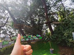 -芦仙山景区-飞越丛林探险乐园