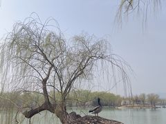 -颐和园
