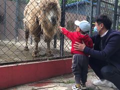 -荆州中山公园动物园