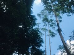 -三门江国家森林公园