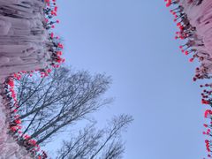 -长春世界雕塑园冰雪艺术天地