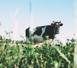 -宋氏家传催乳工作室(罗南新村店)