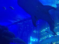 -成都浩海立方海洋公园