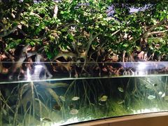 -福州罗源湾海洋世界旅游区