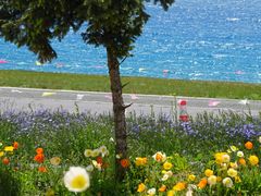 -赛里木湖风景名胜区