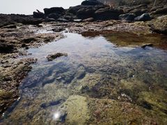 -厦门湾·白塘湾火山公园