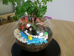 -A+匠心DIY手工坊·首饰·微景观