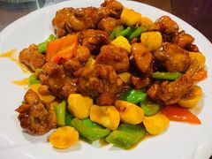 -东来菜馆•手抓海鲜家常菜•海鲜锅贴(鸽子窝店)