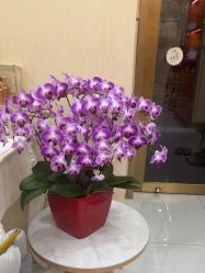 -美肤盾祛痘·问题肌头疗管理中心