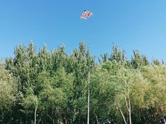 -丁香湖公园