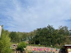 -欢乐松鼠谷