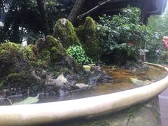 -南山植物园