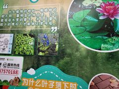 -正佳雨林生态植物园